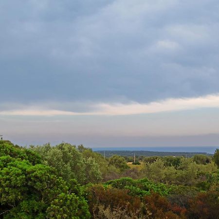 Agriturismo Su Birde Orosei Dış mekan fotoğraf