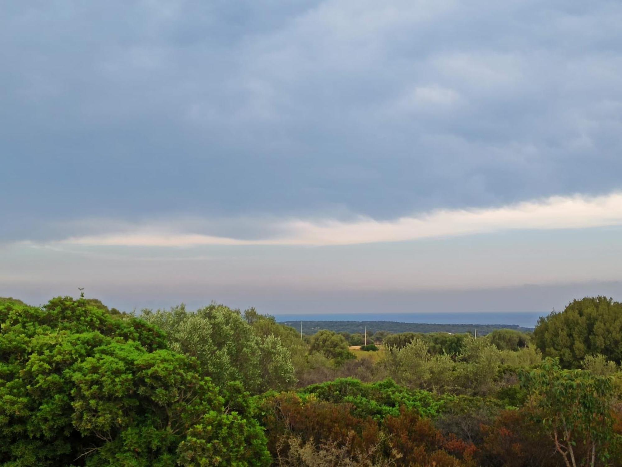Agriturismo Su Birde Orosei Dış mekan fotoğraf