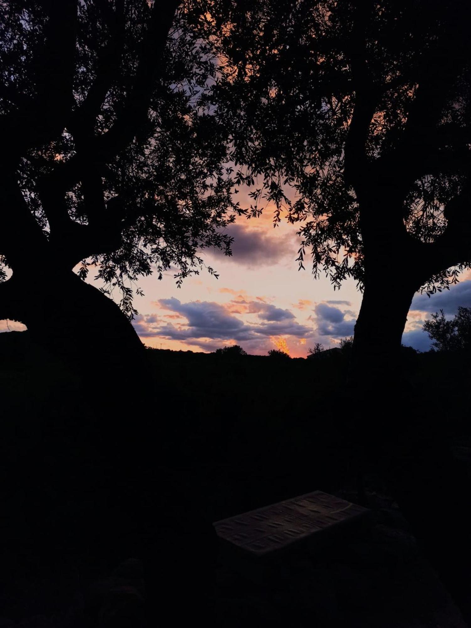 Agriturismo Su Birde Orosei Dış mekan fotoğraf