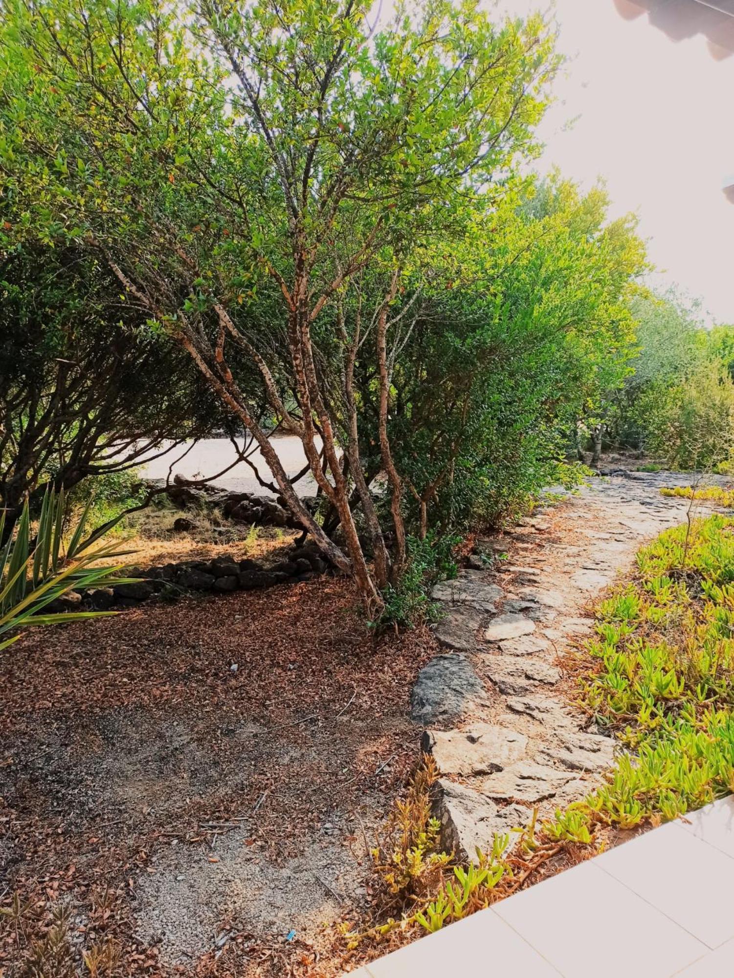 Agriturismo Su Birde Orosei Dış mekan fotoğraf