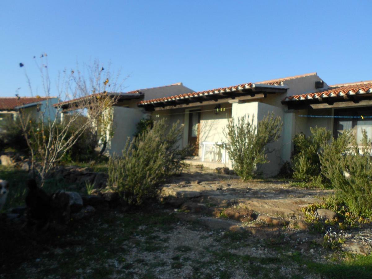 Agriturismo Su Birde Orosei Dış mekan fotoğraf